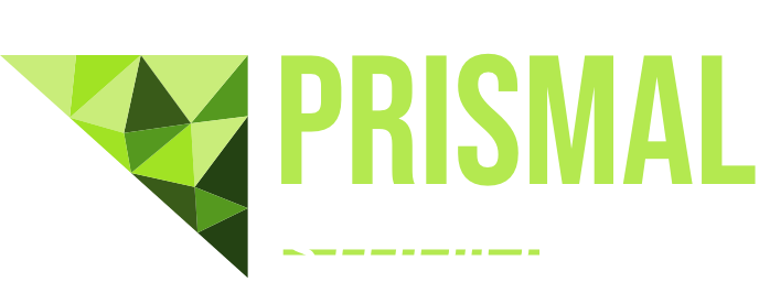 PrismalStudioLogo